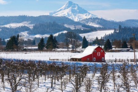 Rural Hood River covered in snow