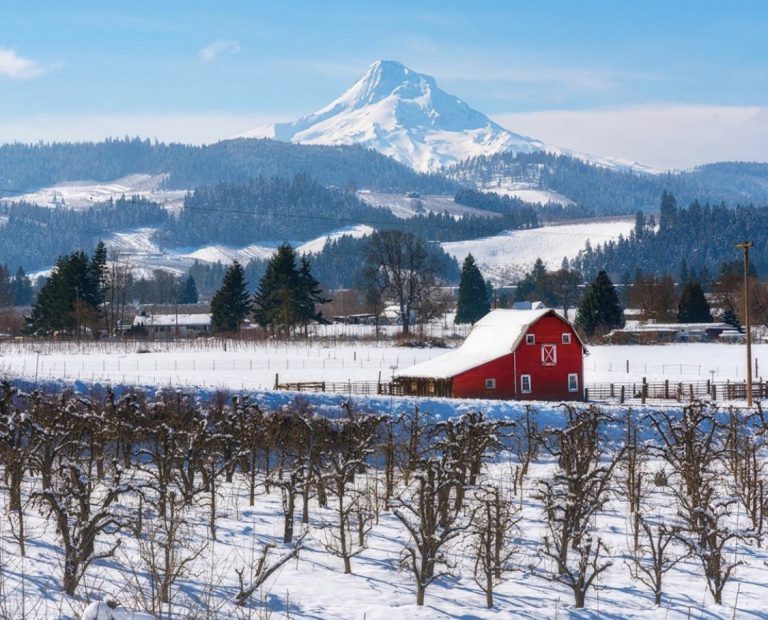 Rural Hood River covered in snow