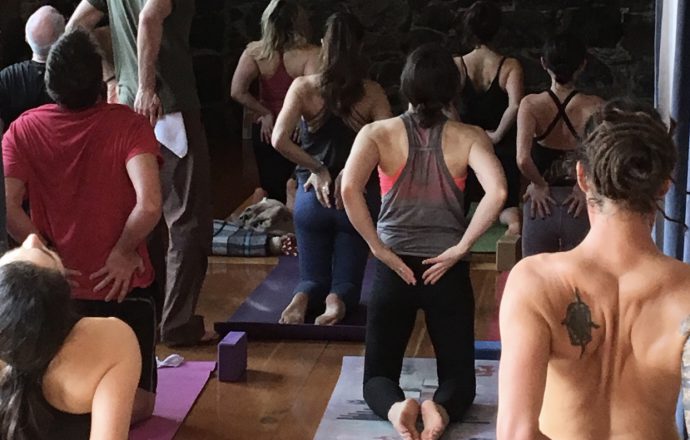 A group practicing yoga in a Hood River studio