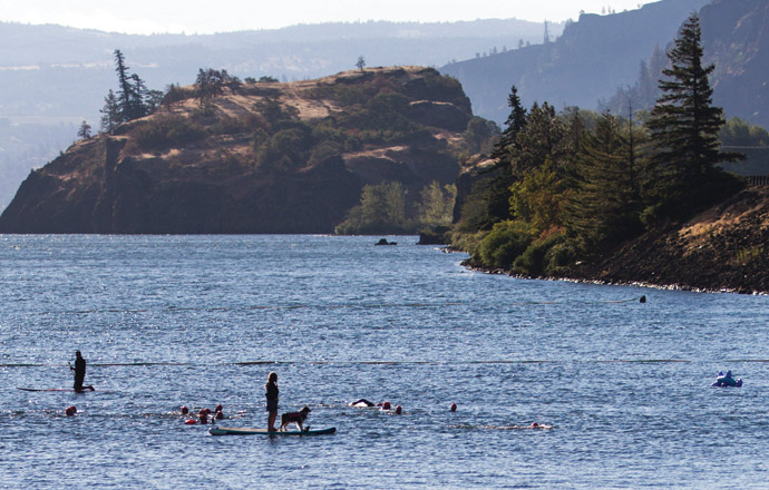 paddle boarders and swimmers in the Columbia River