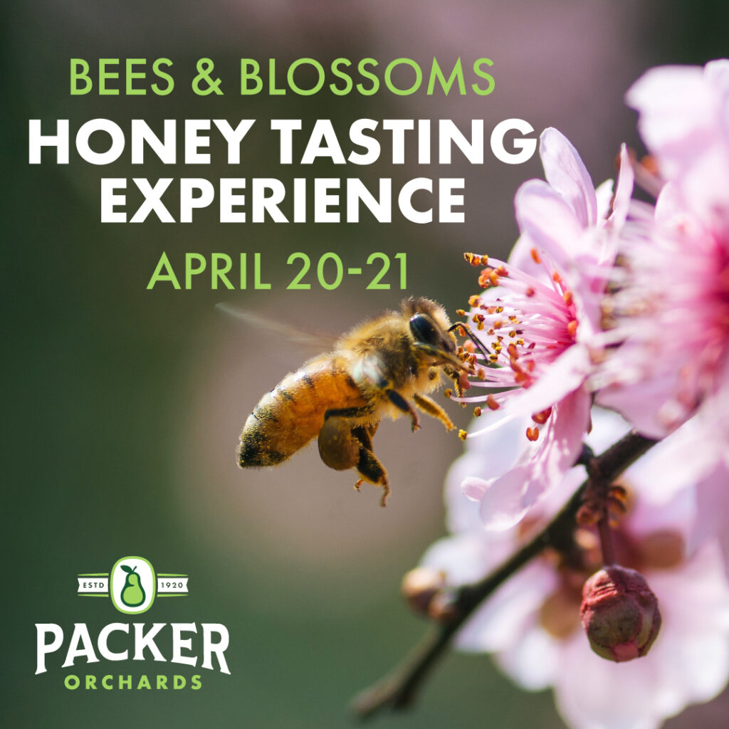 Bees & Blossoms at Packer Orchards - Visit Hood River