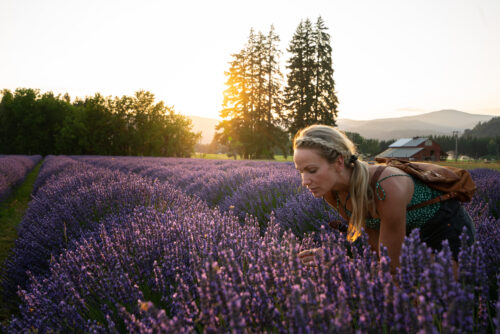 A woman smelling lavender in a field with a sunset in the background.