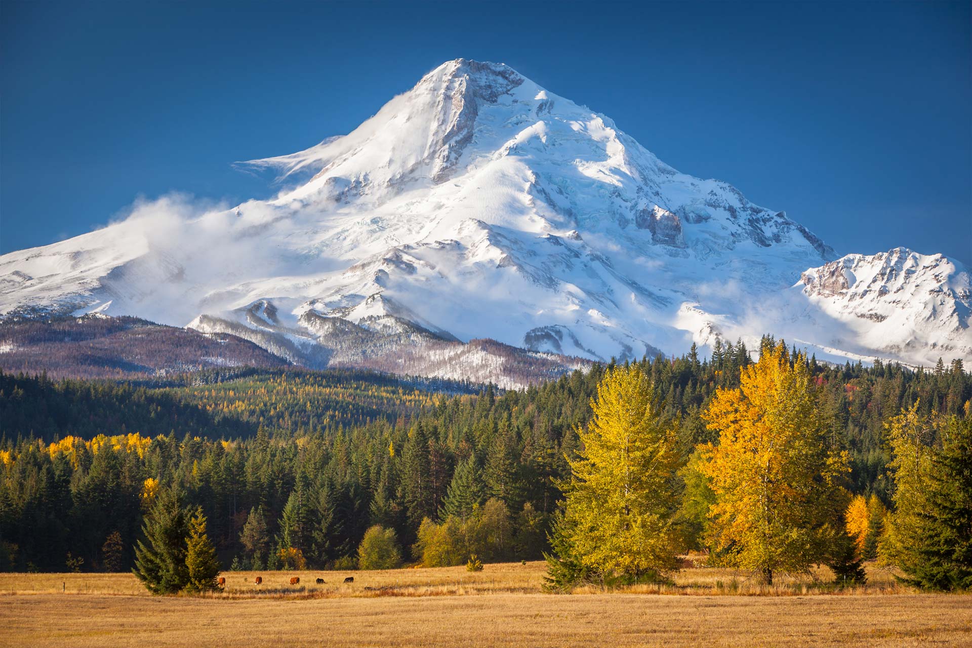 Early snowfall on Mt. Hood, Oregon