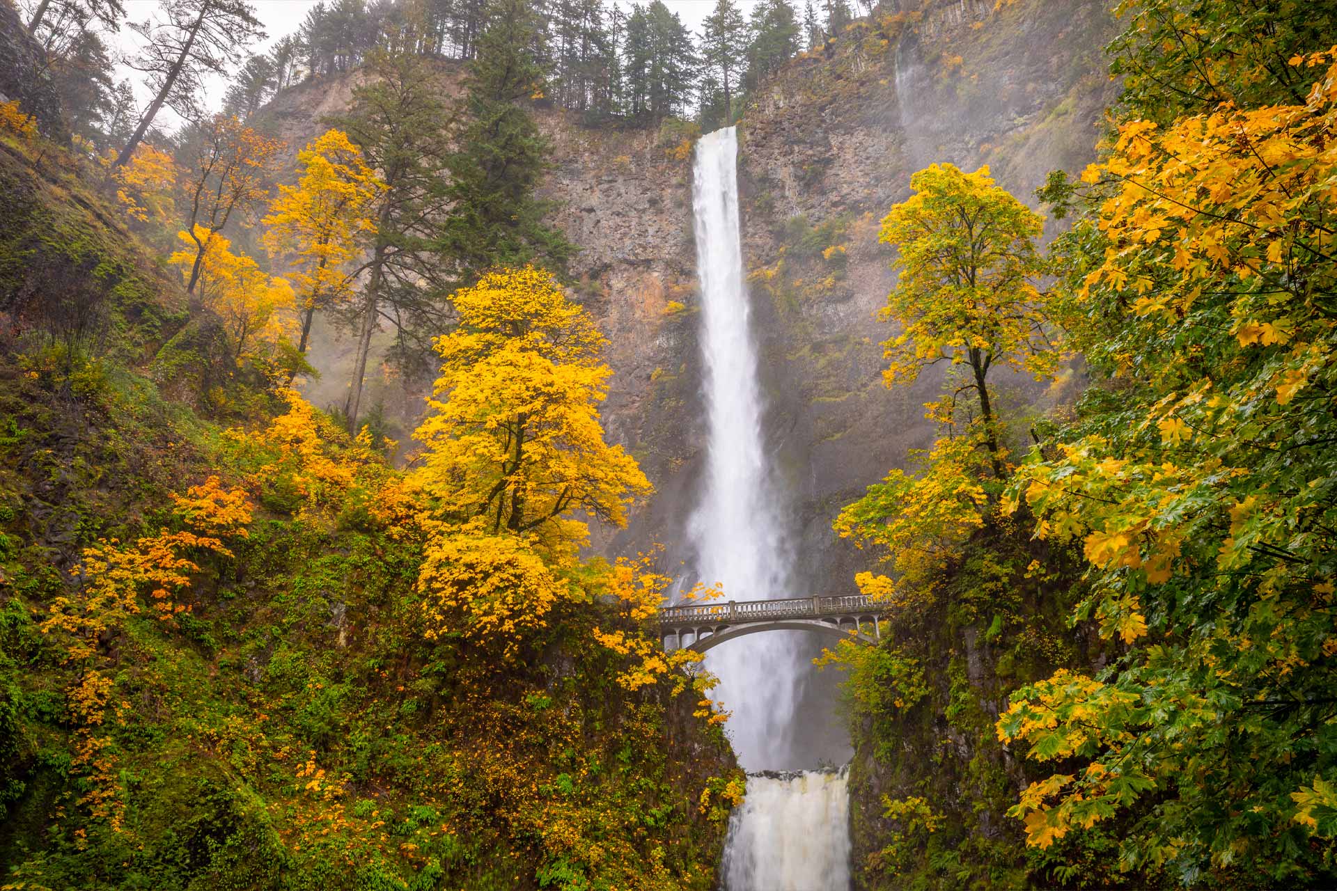 Autumn Multnomah Falls, Oregon
