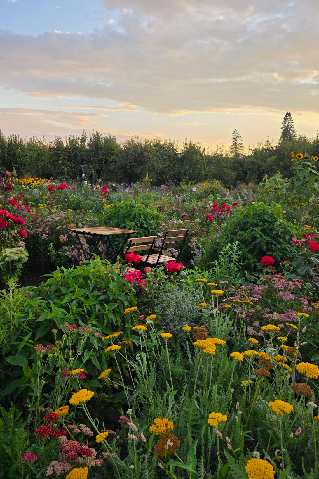 A quiet spot at Pear Bloom Farm in Hood River, Oregon