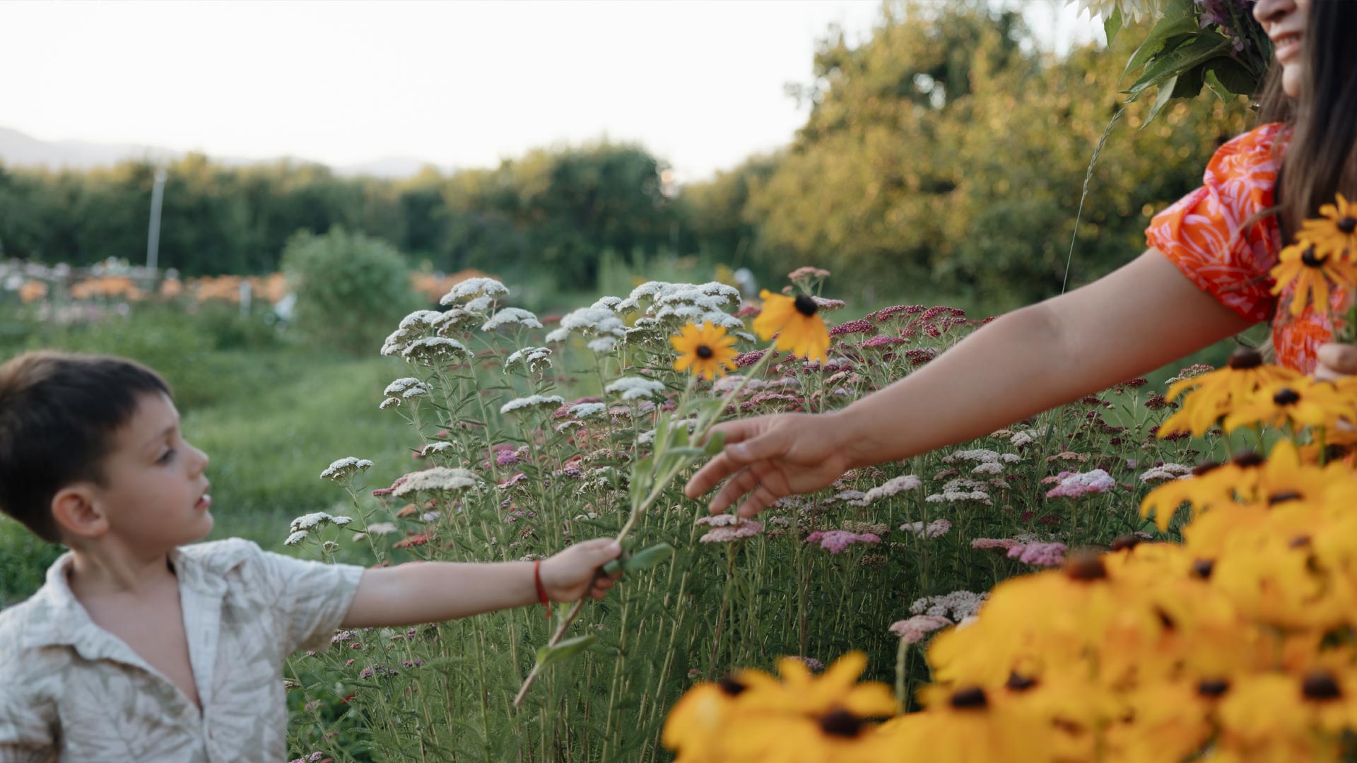 Pear Bloom Farm, Hood River, Oregon