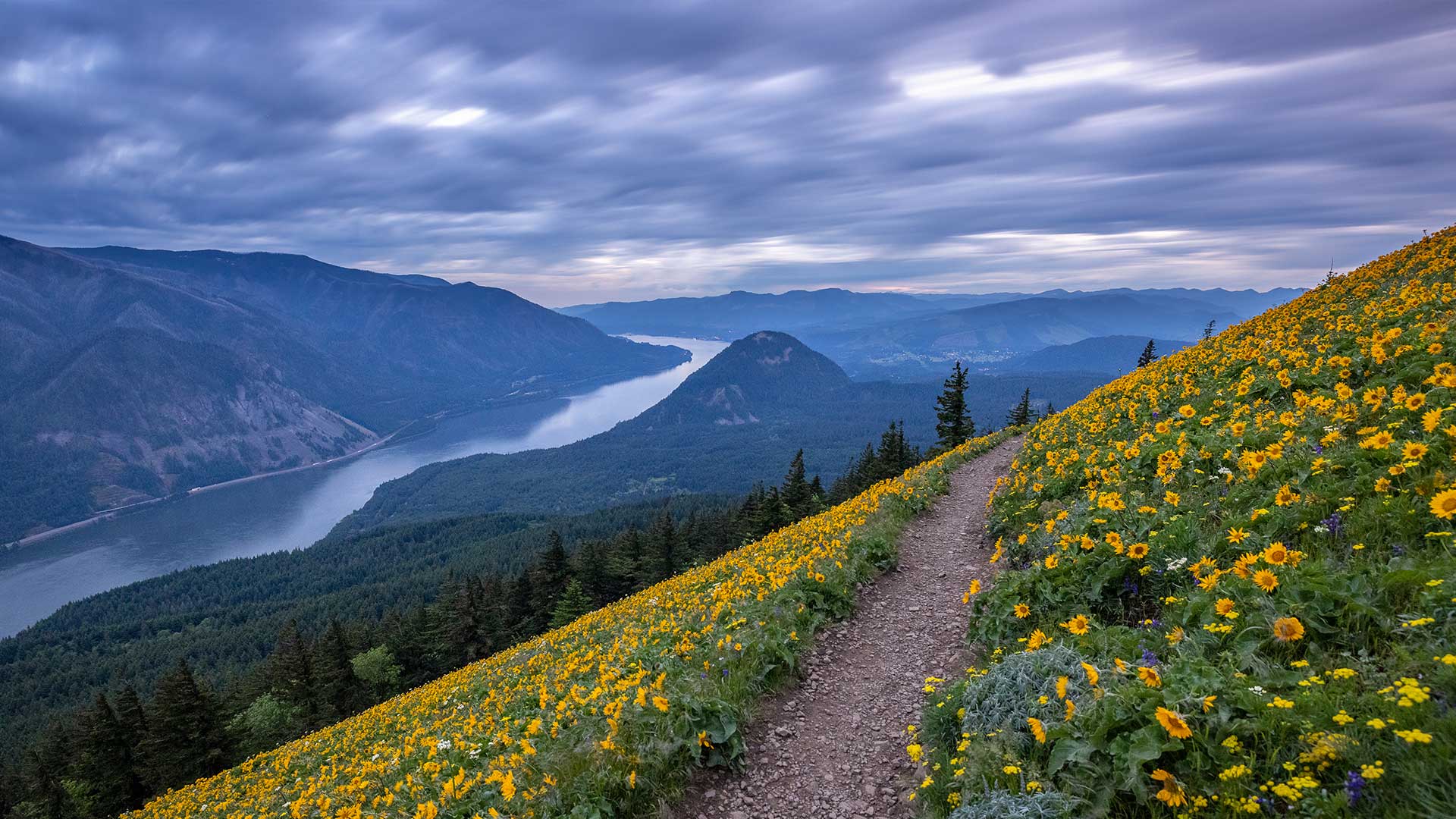 Dog Mountain hiking trail near Carson, Washington