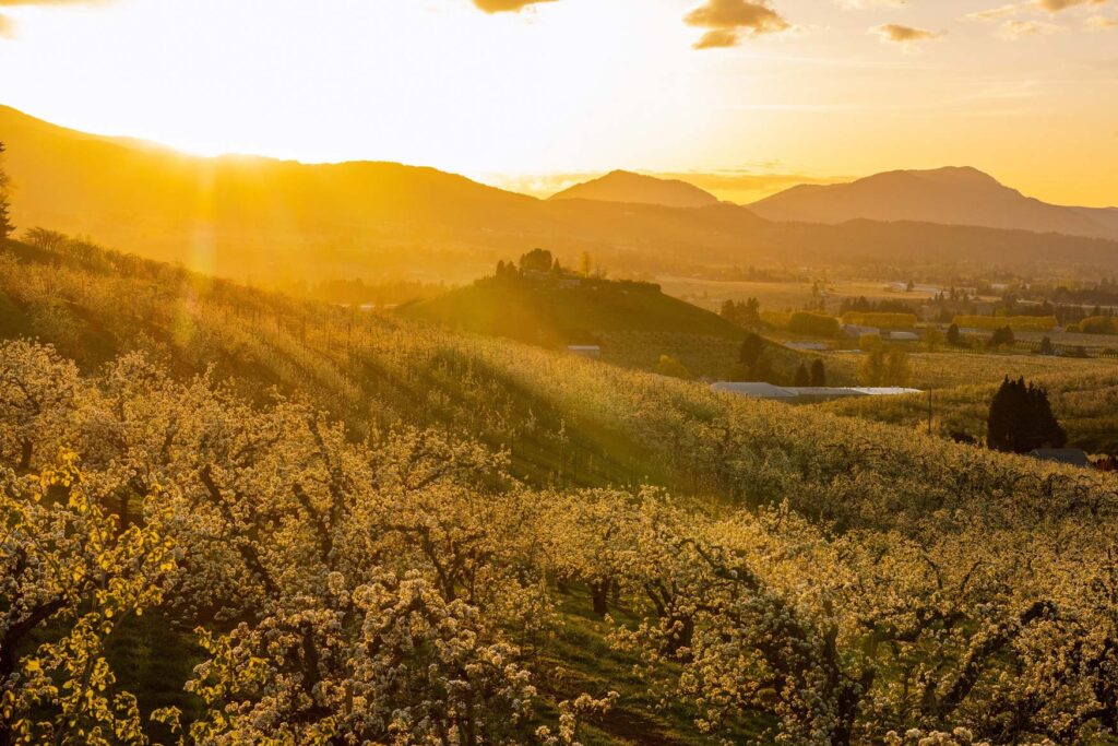 Sunset over farms In Hood River Upper Valley
