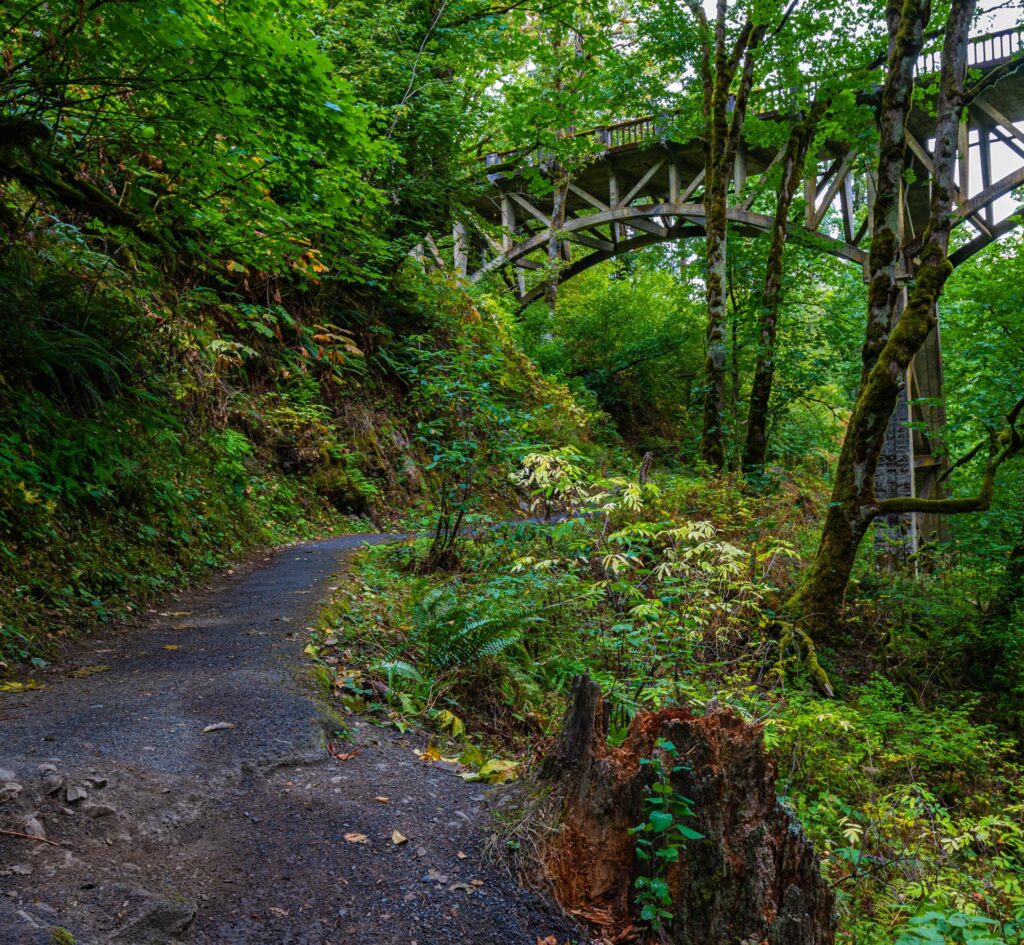 Hiking trail adjacent to Historic Highway